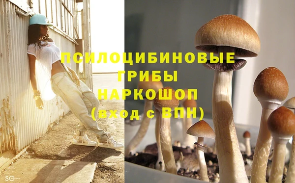 синтетический гашиш Абинск