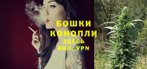 кокс Няндома