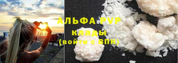 ECSTASY Абаза