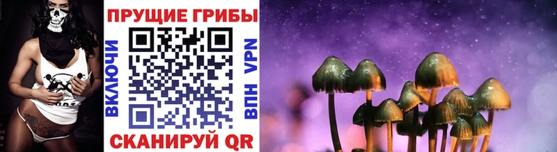 Псилоцибиновые грибы Psilocybine cubensis Весьегонск